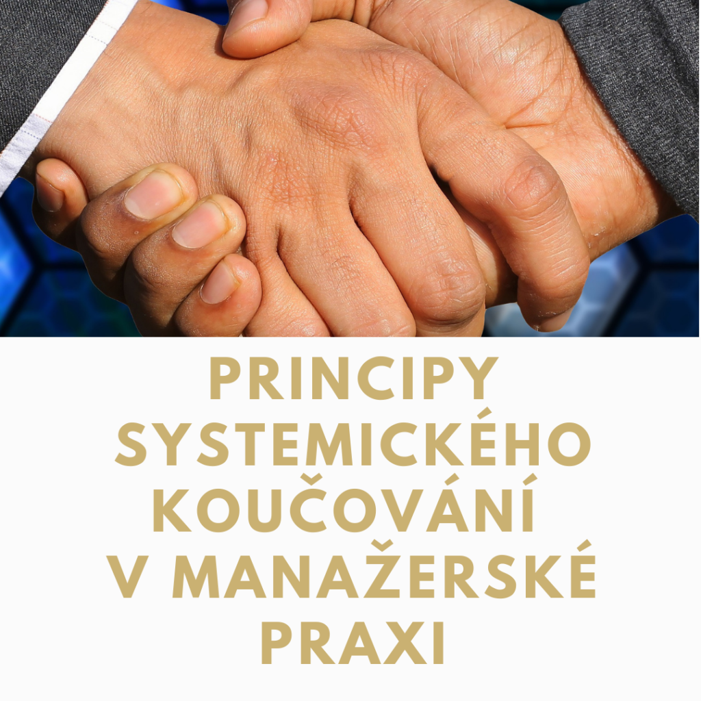 Kurz Principy systemického koučování v manažerské praxi
